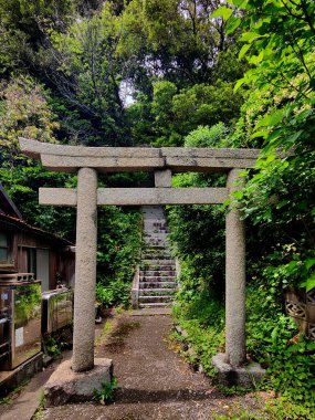 Kitakyushu, Japonya - 26 Mayıs 2025. Torii Kapısı ve Ara Tapınağı merdivenleri