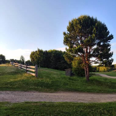 Gün batımında yeşil parkta büyük ağaç ve ahşap çit