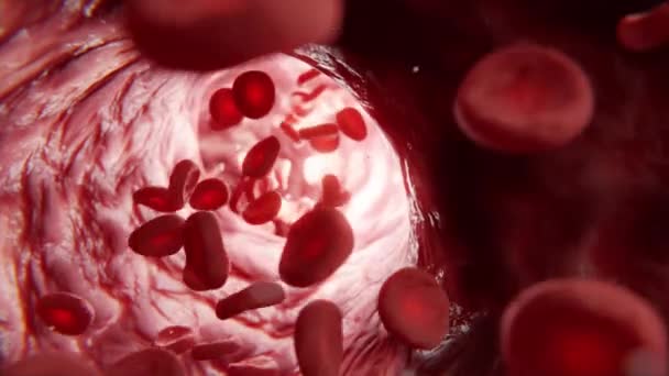 Kan Akışını Takip Eden Eritrositlerin Boyutlu Animasyonu Insan Vücuduna Oksijen — Stok video