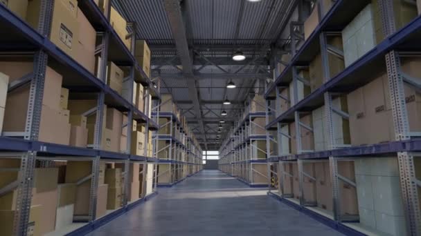 Lojistik Şirketinin Geniş Ambarında Bulunan Metal Rafların Arasında Bir Koridor — Stok video