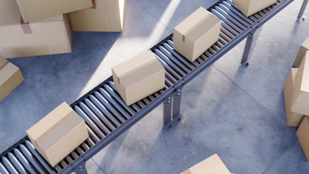 Cardboard Boxes Placed Metal Conveyor System Modern Storehouse Logistic Company — Vídeo de Stock