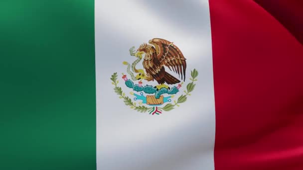 Meksika Ulusal Bayrağının Dalgalanmasının Yavaş Çekim Videosu Animasyon — Stok video