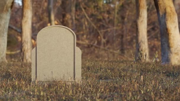 Pusty Szary Nagrobek Trawiastej Łąki Pobliżu Drzew Cmentarzu Słoneczny Jesienny — Wideo stockowe
