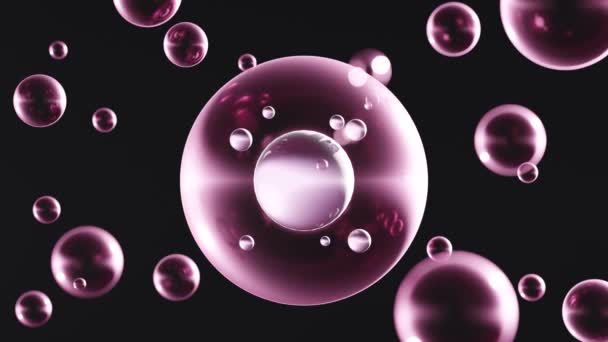 Animación Fondo Oscuro Rosa Reflectante Abstracto Con Burbujas Esféricas Transparentes — Vídeo de stock
