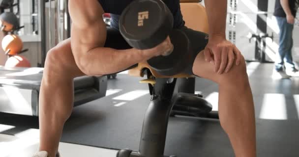 Atleta Masculino Muscular Anônimo Sportswear Fazendo Cachos Bíceps Com Halteres — Vídeo de Stock