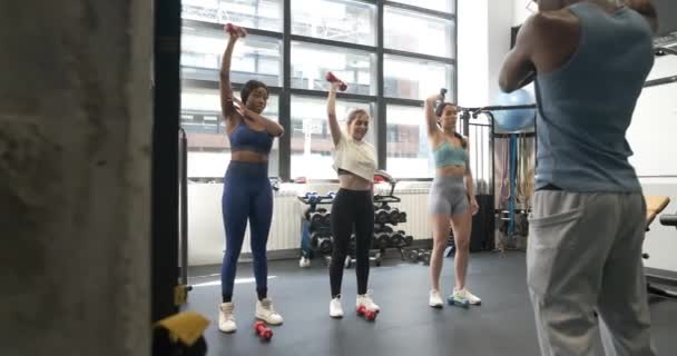 Muskularne Męskie Instruktor Odzieży Sportowej Wykonywania Ćwiczeń Biceps Hantlami Aktywnych — Wideo stockowe