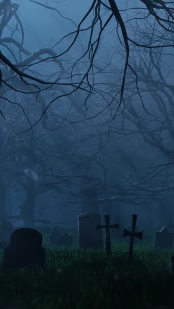 Geceleri Sisli Mezarlıkta Büyüyen Karanlık Mezarların Gizemli Yapraksız Ağaçların Korkutucu — Stok video