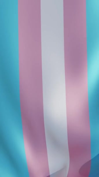 Bandeira Listrada Transgênero Vertical Acenando Animação — Vídeo de Stock