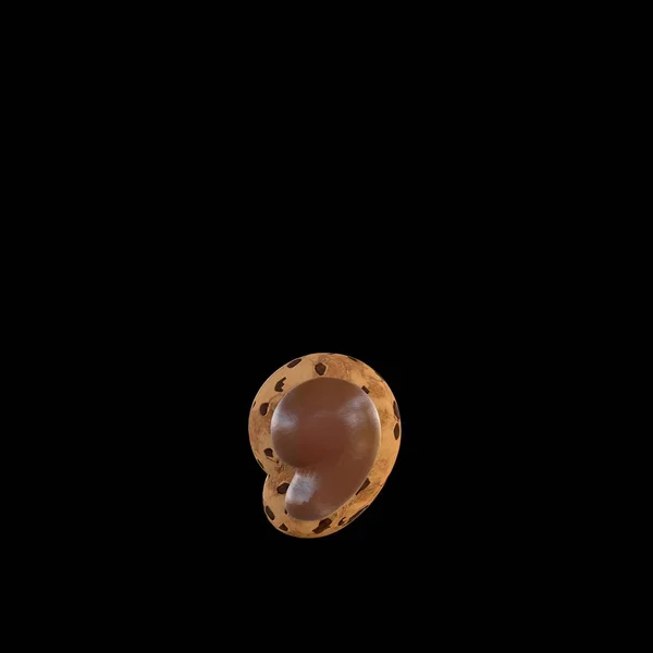 Рендеринг Запятая Знак Воссоздания Печенье Шоколадом Вершине — стоковое фото