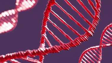 Koyu arkaplan üzerinde sarmal basamaklarda kırmızı DNA iplikçiklerinin 3 boyutlu animasyonu