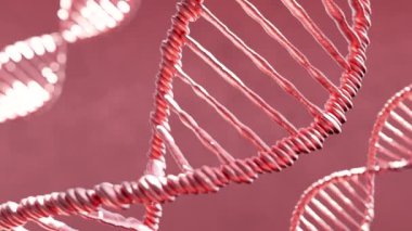 Açık mavi arkaplan üzerinde sarmal basamaklarda pembe DNA iplikçiklerinin 3 boyutlu animasyonu