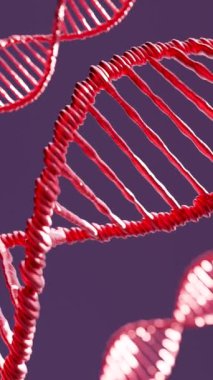 Koyu arkaplan üzerinde sarmal basamaklarda kırmızı DNA iplikçiklerinin 3 boyutlu animasyonu