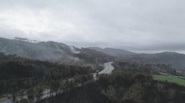 Hava aracı görüntüleri yanmış bir ormanın sonrasını yakılmış araziden yükselen dumanla yakıyor. Büyük yangınlar ve çevresel yıkım.