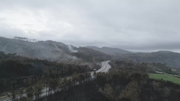 空中无人侦察机拍摄的镜头捕捉到了燃烧的森林的后遗症 从烧焦的风景中升起了挥之不去的烟雾 野火和环境破坏 — 图库视频影像