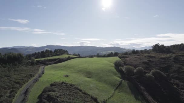 Letecký Pohled Malebnou Krajinu Travnatým Údolím Horách Pokrytých Zeleným Jehličnatým — Stock video