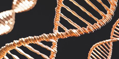 Altın DNA iplikçiklerinin koyu arkaplan üzerindeki sarmal basamaklarda 3D animasyonu