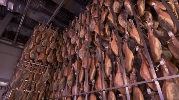 Εργοστάσιο Χοιρινών Ποδών Jamon Serrano Κρέμεται Βιομηχανικά Πόδια Του Ιβηρικού — Αρχείο Βίντεο