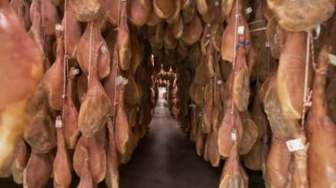 Jamon Serrano domuz bacağı fabrikası İberya jambonu endüstrisinde sallanıyor. İberya jambon özenle hazırlama süreci