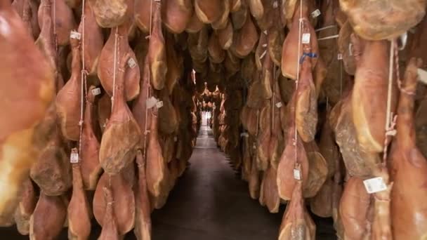 イベリアのハムの産業足にぶら下がっているジャモンセラーノの豚の足工場 イベリアンハム精製プロセス — ストック動画