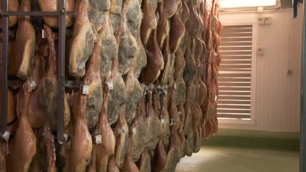 Εργοστάσιο Χοιρινών Ποδών Jamon Serrano Κρέμεται Βιομηχανικά Πόδια Του Ιβηρικού — Αρχείο Βίντεο