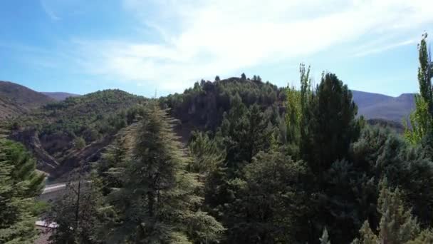 晴れた日にダムを取り囲む木々と山を旅するビデオ — ストック動画