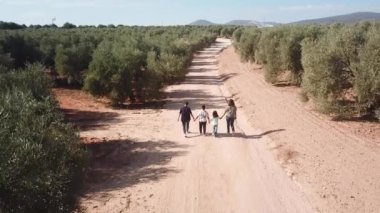 Normallik dışı bir ailenin zeytin ağaçlarının ortasında kumlu bir yolda çalındığı hava aracı videosu.