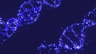 Koyu arkaplan etrafında dönen insan geni etrafında süzülürken 3D animasyon mavi renkte parlıyor ve yanıp sönüyor