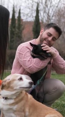 Bir çift parkta dışarıda birlikte vakit geçirirken köpeklerini okşayıp okşuyor. Evcil hayvan ve köpek konsepti.