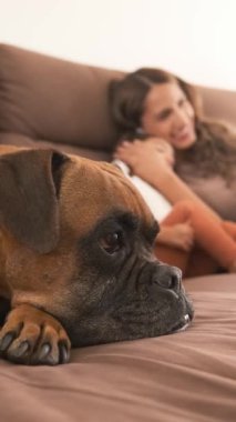 Boksör köpeği, bulanık Latin ailesi ile birlikte kanepede dinlenirken gözlerini kaçırıyor. Anne kızıyla konuşuyor ve uzaktan kumandayla oturma odasında televizyon seyrediyor.
