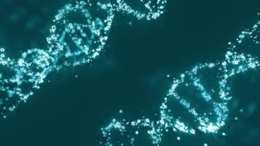 Koyu arkaplan etrafında dönen insan geni etrafında süzülürken 3D animasyon mavi renkte parlıyor ve yanıp sönüyor