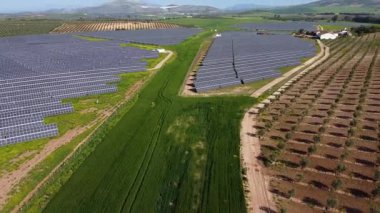 Hava perspektifi, geniş güneş paneli kurulumunun zeytin ağaçlarıyla yeşil tarım arazisinde yenilenebilir elektrik ürettiğini ortaya koyuyor.