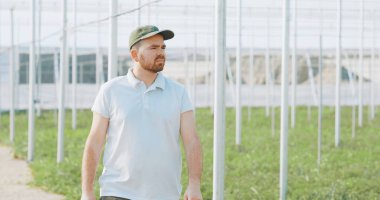 Bir seradaki gelişmekte olan bitkilerin arasında yürüyen çiftçi, büyümeyi dikkatle denetliyor ve sürdürülebilir tarımda kalite sağlıyor.