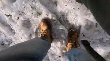 Arkadaşlar karlı bir orman manzarasında eğleniyor, anları yakalıyor ve ağaçların arasında kış macerasının tadını çıkarıyorlar.