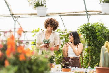 İki gülümseyen kadın bahçıvan güneşli bir serada canlı bitkiler seçiyor, yemyeşil ve çiçeklerin arasında eğleniyorlar.