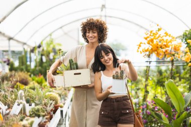 İki mutlu kadın bir bitki yetiştirme serasında kaktüs ve sulu bitkileri seçiyor, alışveriş deneyimlerinin tadını çıkarıyorlar.