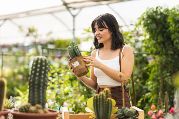 Parlak ve havadar bir bahçe merkezinde sergilenen kaktüs bitkisini çok çeşitli kaktüslerden seçen genç bir kadın.