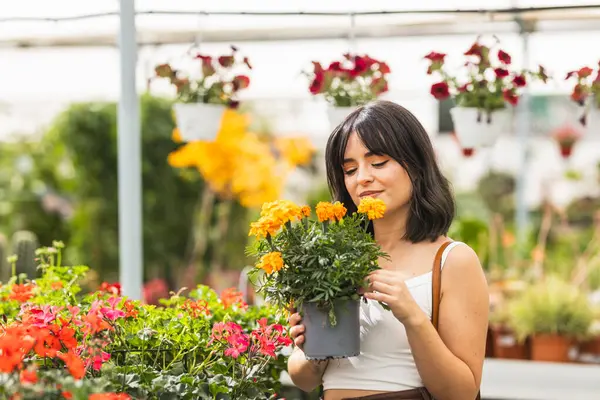 Beyaz mahsul bluzunda genç bir kadın. Güneşli bir günde seranın içinde canlı sarı kadife çiçekleri tutuyor. Rengarenk çiçeklerle dolu.