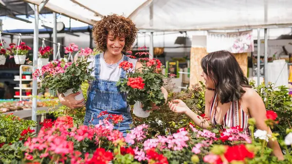 Bir bahçe merkezinde çalışan iki genç kadın ellerinde sardunya çiçeği saksıları, renkli bitkilerle çevrili.