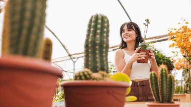 Genç bahçıvan kaktüs ve diğer bitkilerle çevrili bir seranın içinde sulu bir bitkiyle küçük bir terracotta saksısı tutuyor.