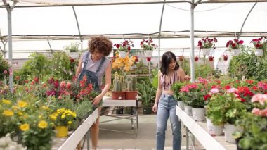 Çiçekçi dükkanını keşfeden mutlu genç kadınlar bitkileri seçiyor