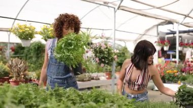 Bahçe merkezi çalışanlarıyla birlikte yeşil seranın içinde dikkatlice kokulu bitki bitkilerini inceleyip kokluyor, birlikte çalışabilen profesyonel bitki yetiştirme ve bitki yetiştirme sürecini sergiliyorlar.