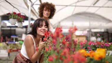 Birlikte çalışan kadın çiçekçiler, çiçek kokularını derin bir şekilde içine çekerek verimli sera ortamındaki canlı çiçekleri keşfeder, profesyonel anı paylaşırlar.