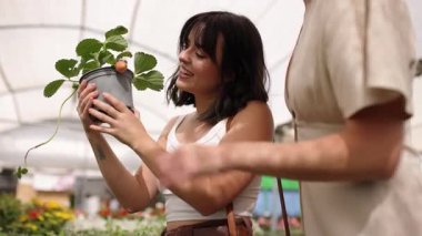 Kadın arkadaşlar canlı çilek bitkilerini birlikte seçiyorlar. Neşeli bir anı paylaşıyorlar. Bu sırada bahçedeki seraya doğal güneş ışığı eşliğinde bakıyorlar.