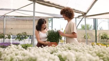 Parlak seranın içindeki beyaz çiçeklere hayran olan mutlu kadınlar.