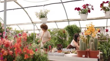 Kadın bahçe çalışanları çeşitli bitkileri inceleyerek ve tartışarak, sera serasını değerlendirirken aynı zamanda profesyonel bahçıvanlık değerlendirmesi yapıyorlar.