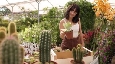 Geniş seranın içinde çeşitli sulu ve kaktüs koleksiyonlarına dikkatlice göz atan genç bir kadın, huzurlu bir ifadeyle bitki çeşitlerine nazikçe dokunuyor.