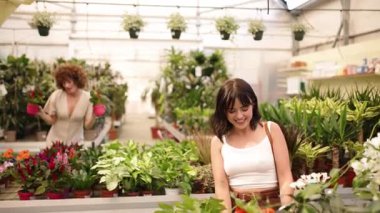 Sera çalışanı canlı turuncu çiçekleri koklarken meslektaşı bahçecilikte yürüyor, iş arkadaşlığı ve bitki bakımı sergiliyor.