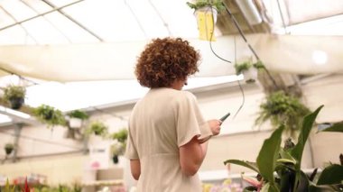 Profesyonel sera çalışanı, tarım yönetimi ve kalite kontrolü için dijital tablet kullanırken, yeşil santralleri dikkatlice incelerken,