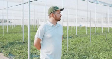 Deneyimli çiftçi, modern ticari serada gelişen karpuz fidelerini dikkatlice inceliyor, bitki sağlığı ve büyüme potansiyelini titizlikle değerlendiriyor.