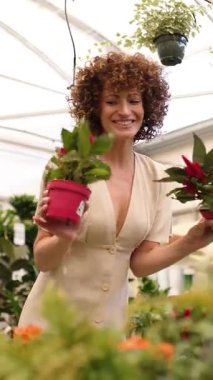 Neşeli kadın bahçıvan, güneşli serada çalışırken rengarenk saksı çiçeklerini nazikçe kokluyor ve karşılaştırıyor botanik ve bitki bakımına olan tutkusunu sergiliyor. Dikey